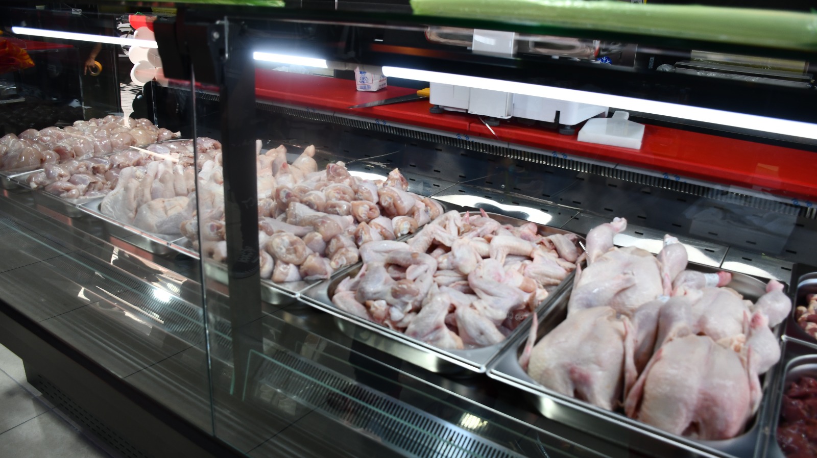 WhatsApp Image 2022-08-11 at 7.41.14 PM.jpeg